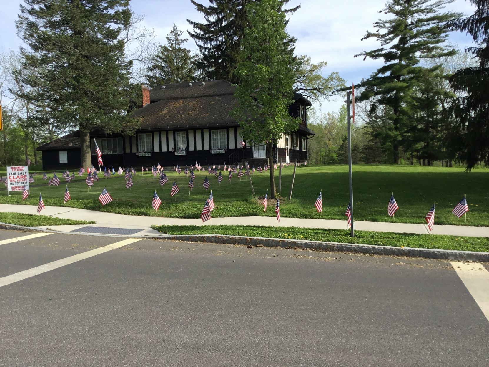 Field of flags